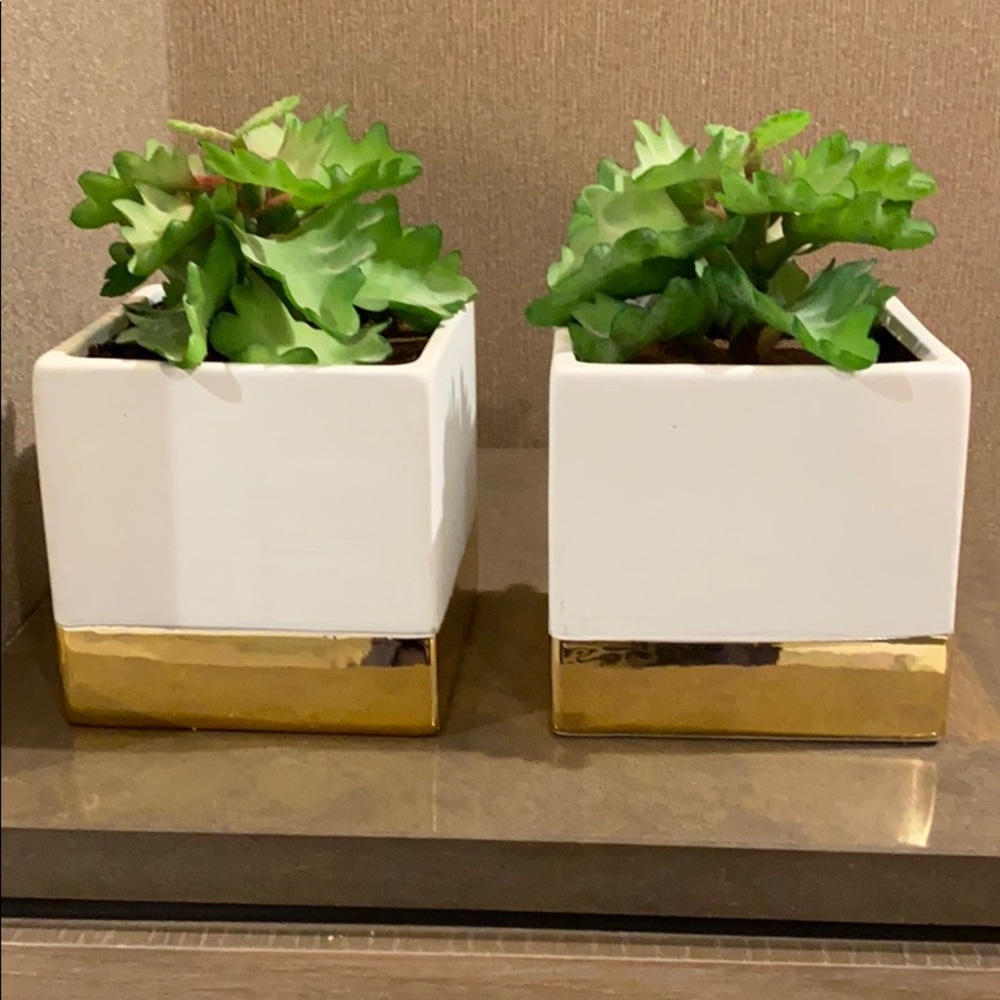 Decorative pots with faux succulents